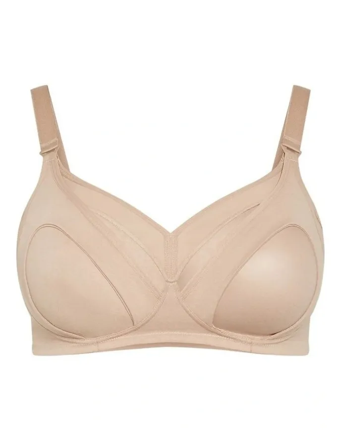 City Chic Wireless Maternity Bra in Latte