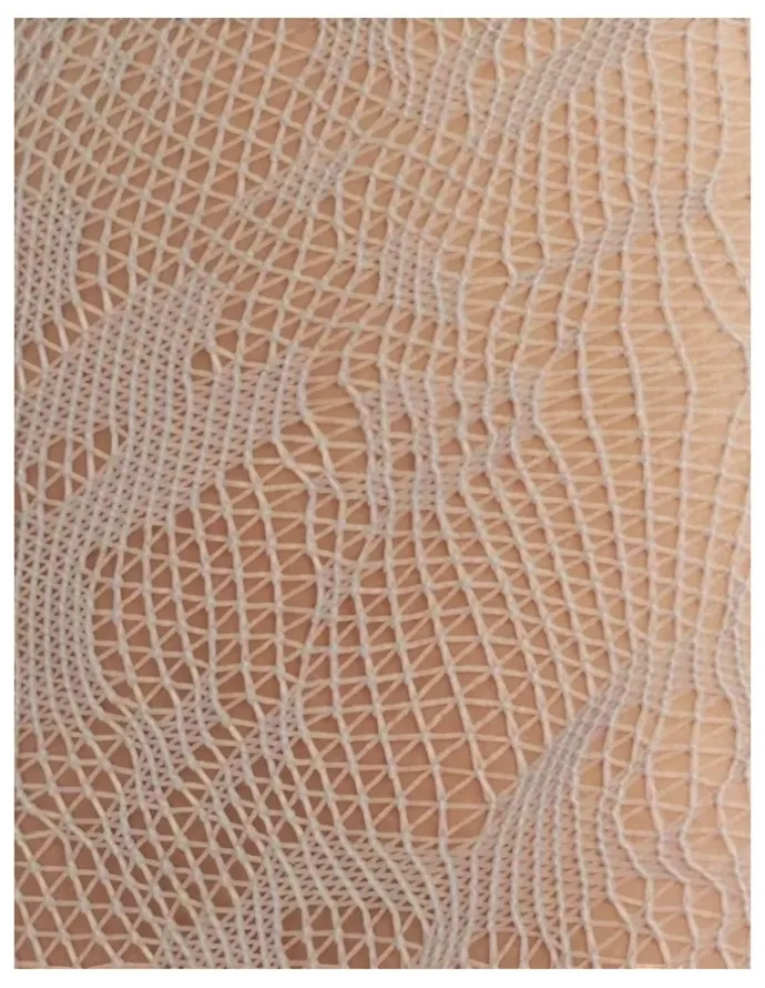 High Heel Jungle Lola Lace Tights