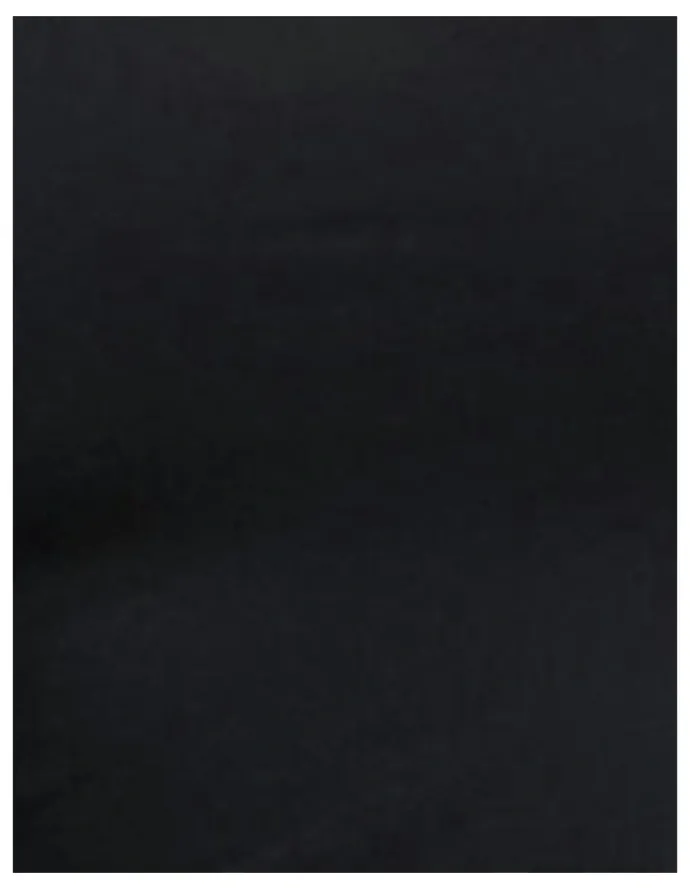 Lauren Ralph Lauren Luxe Smoothing Slim Fit Adjustable Strap Camisole in Black