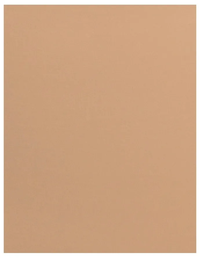 Leonisa AirLift Butt-Lifting Shapewear & Anti-Chafe Short in Golden Beige