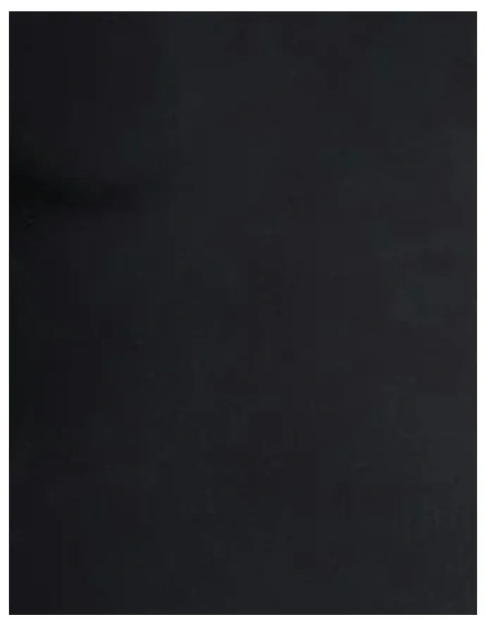 Leonisa Bare Boldly Sleeveless Shaping Tummy Control Bodysuit in Black