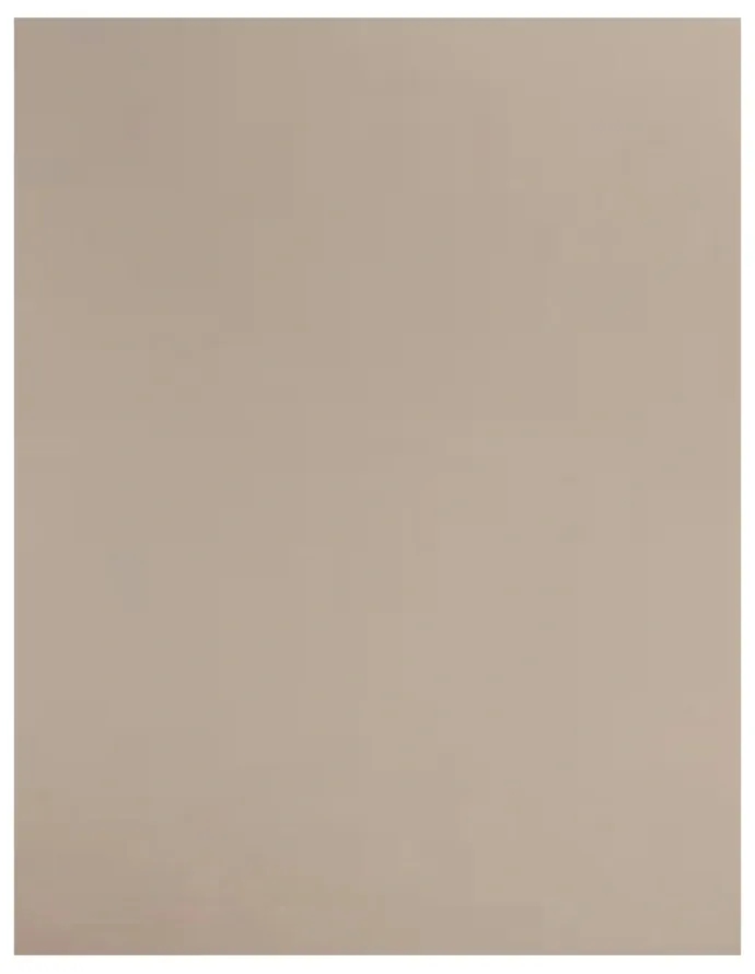 Leonisa Perfect Fit Seamless High Waist Shaping Brief in Beige