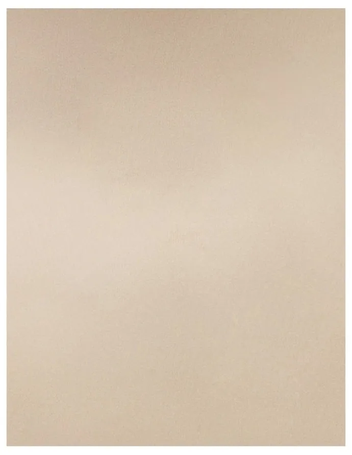Naturana Half Slip Lingerie Underskirt in Light Beige