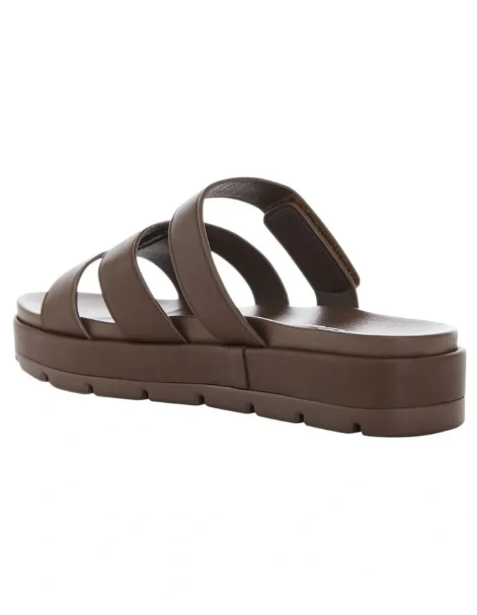 Sandler Finch Sandals in Chocolate